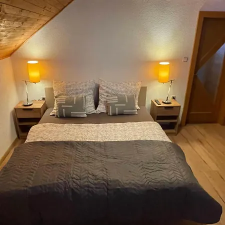 U Lesa Prázdninový dům